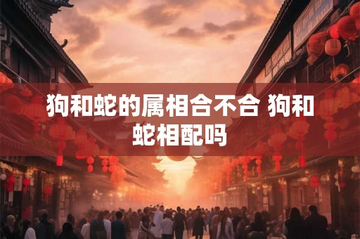 狗和蛇的属相合不合 狗和蛇相配吗 狗和蛇的属相合不合 狗和蛇相配吗