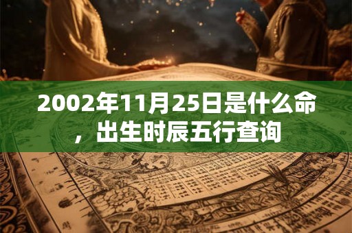 2002年11月25日是什么命，出生时辰五行查询