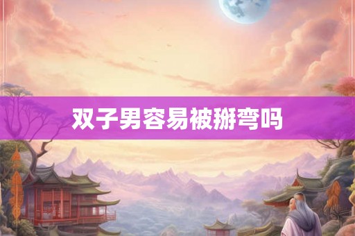 双子男容易被掰弯吗