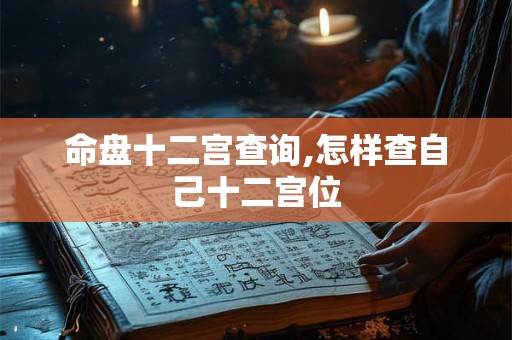 命盘十二宫查询,怎样查自己十二宫位