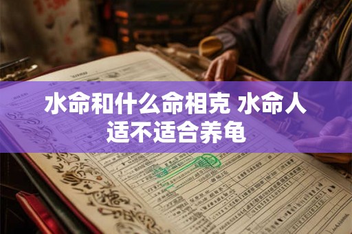 水命和什么命相克 水命人适不适合养龟
