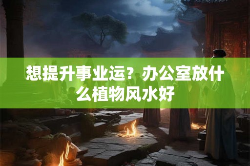 想提升事业运?办公室放什么植物风水好 想提升事业运?办公室放什么植物风水好