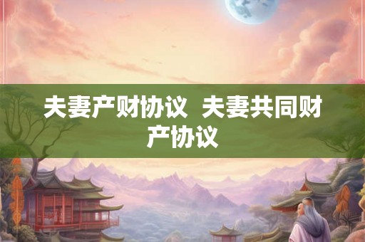 夫妻产财协议  夫妻共同财产协议