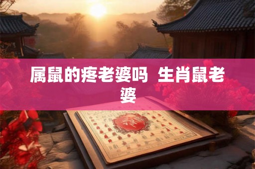 属鼠的疼老婆吗  生肖鼠老婆