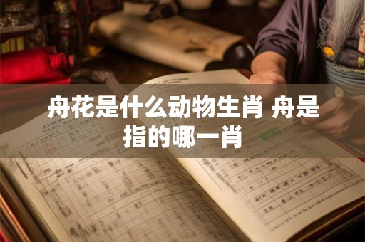 舟花是什么动物生肖 舟是指的哪一肖 舟花是什么动物生肖 舟是指的哪一肖