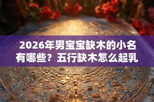2026年男宝宝缺木的小名有哪些？五行缺木怎么起乳名