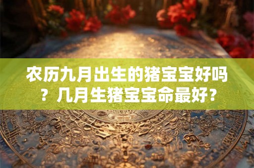 农历九月出生的猪宝宝好吗？几月生猪宝宝命最好？