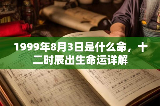 1999年8月3日是什么命，十二时辰出生命运详解