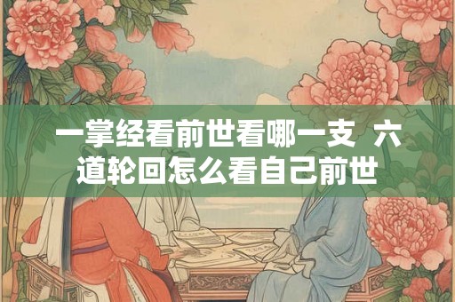 一掌经看前世看哪一支  六道轮回怎么看自己前世