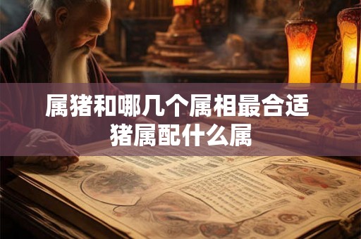 属猪和哪几个属相最合适 猪属配什么属 属猪和哪几个属相最合适 猪属配什么属