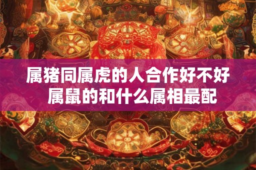 属猪同属虎的人合作好不好  属鼠的和什么属相最配