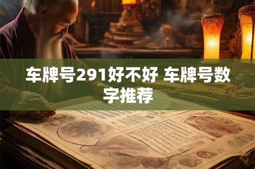 车牌号291好不好 车牌号数字推荐 车牌号291好不好 车牌号数字推荐