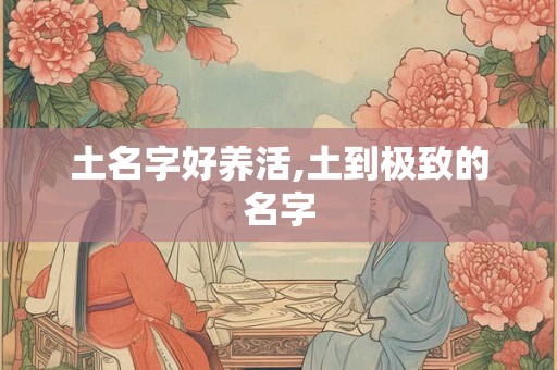 土名字好养活,土到极致的名字