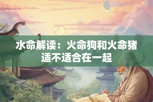 水命解读：火命狗和火命猪适不适合在一起
