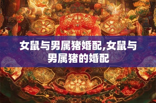 女鼠与男属猪婚配,女鼠与男属猪的婚配
