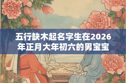 五行缺木起名字生在2026年正月大年初六的男宝宝