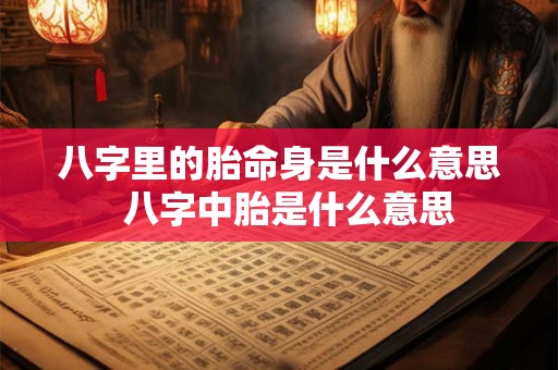 八字里的胎命身是什么意思  八字中胎是什么意思