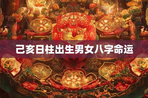 己亥日柱出生男女八字命运