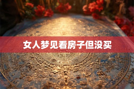 女人梦见看房子但没买