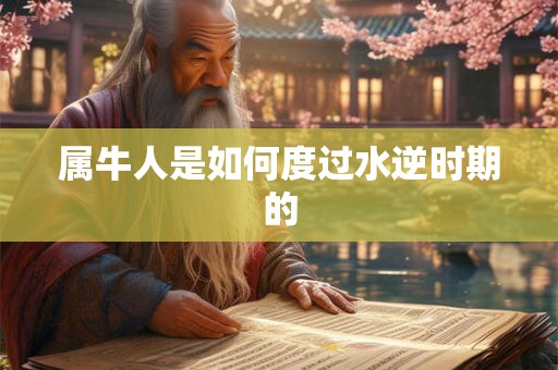 属牛人是如何度过水逆时期的