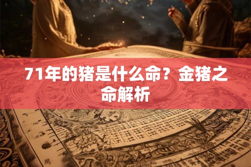 71年的猪是什么命？金猪之命解析