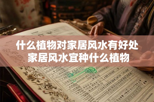 什么植物对家居风水有好处 家居风水宜种什么植物