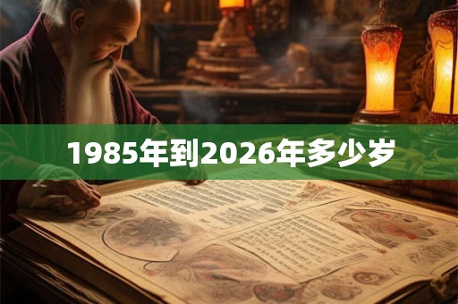 1985年到2026年多少岁
