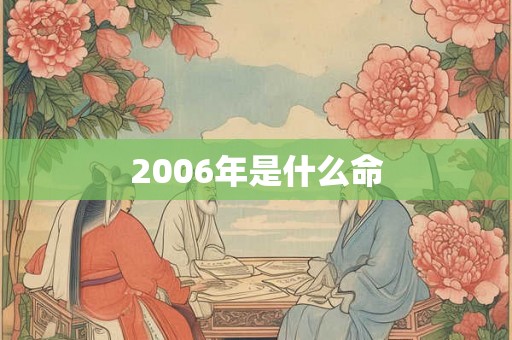 2006年是什么命