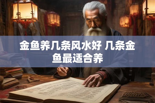 金鱼养几条风水好 几条金鱼最适合养 金鱼养几条风水好 几条金鱼最适合养