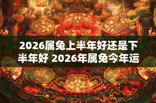 2026属兔上半年好还是下半年好 2026年属兔今年运势如何