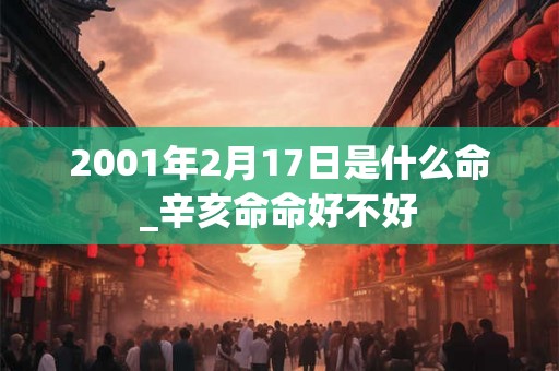 2001年2月17日是什么命_辛亥命命好不好