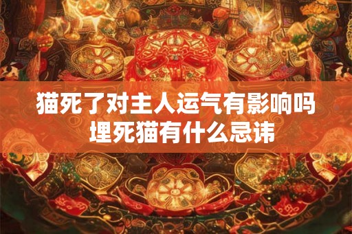 猫死了对主人运气有影响吗  埋死猫有什么忌讳