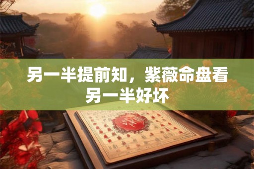 另一半提前知，紫薇命盘看另一半好坏