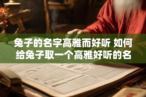 兔子的名字高雅而好听 如何给兔子取一个高雅好听的名字