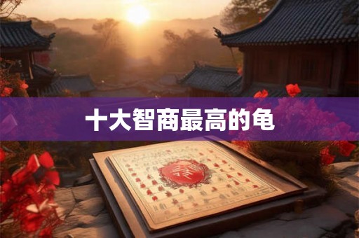 十大智商最高的龟