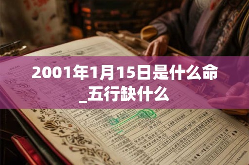 2001年1月15日是什么命_五行缺什么