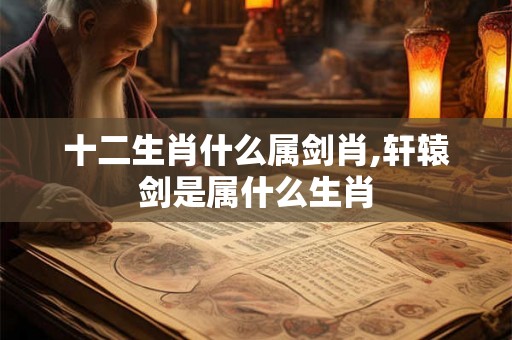 十二生肖什么属剑肖,轩辕剑是属什么生肖