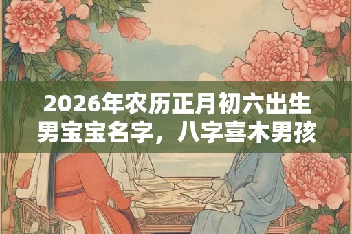 2026年农历正月初六出生男宝宝名字，八字喜木男孩起名