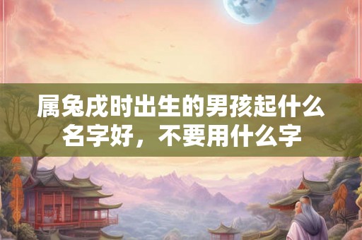 属兔戌时出生的男孩起什么名字好，不要用什么字