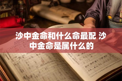 沙中金命和什么命最配 沙中金命是属什么的