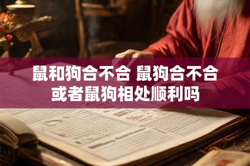 鼠和狗合不合 鼠狗合不合或者鼠狗相处顺利吗 鼠和狗合不合 鼠狗合不合或者鼠狗相处顺利吗