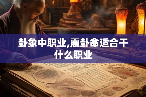 卦象中职业,震卦命适合干什么职业