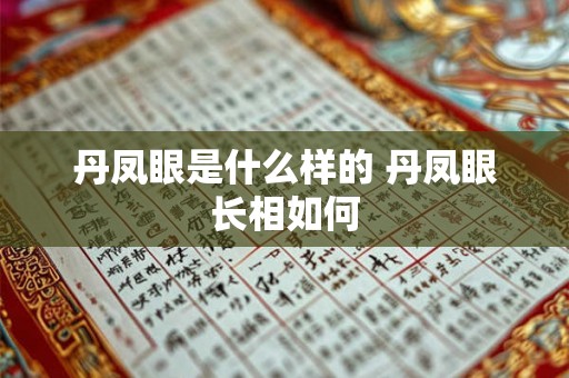 丹凤眼是什么样的 丹凤眼长相如何