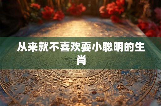 从来就不喜欢耍小聪明的生肖