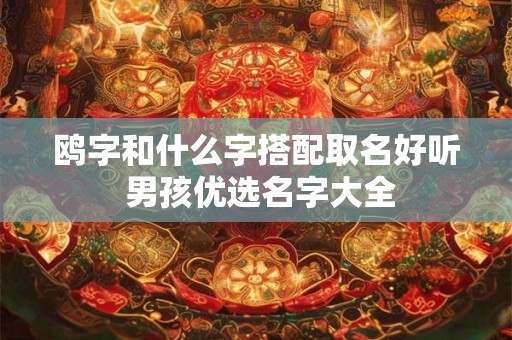 鸥字和什么字搭配取名好听 男孩优选名字大全