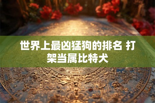 世界上最凶猛狗的排名 打架当属比特犬