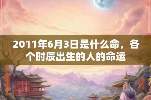2011年6月3日是什么命,各个时辰出生的人的命运 2011年6月3日是什么命,各个时辰出生的人的命运