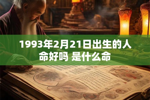 1993年2月21日出生的人命好吗 是什么命