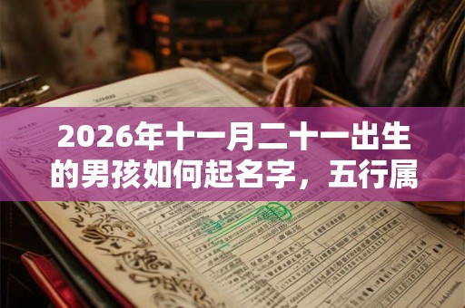 2026年十一月二十一出生的男孩如何起名字，五行属什么
