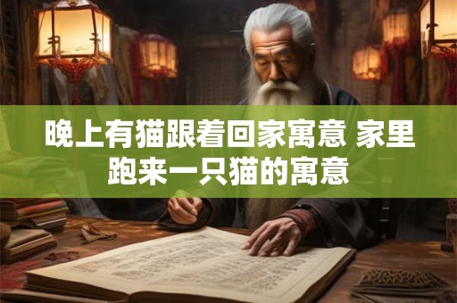 晚上有猫跟着回家寓意 家里跑来一只猫的寓意